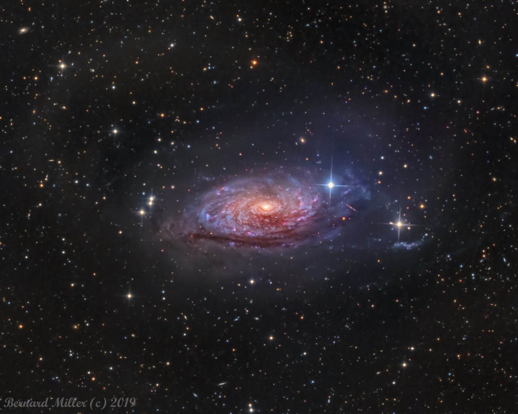 The spiral galaxy M63 (NGC 5055, or sunflower galaxy).