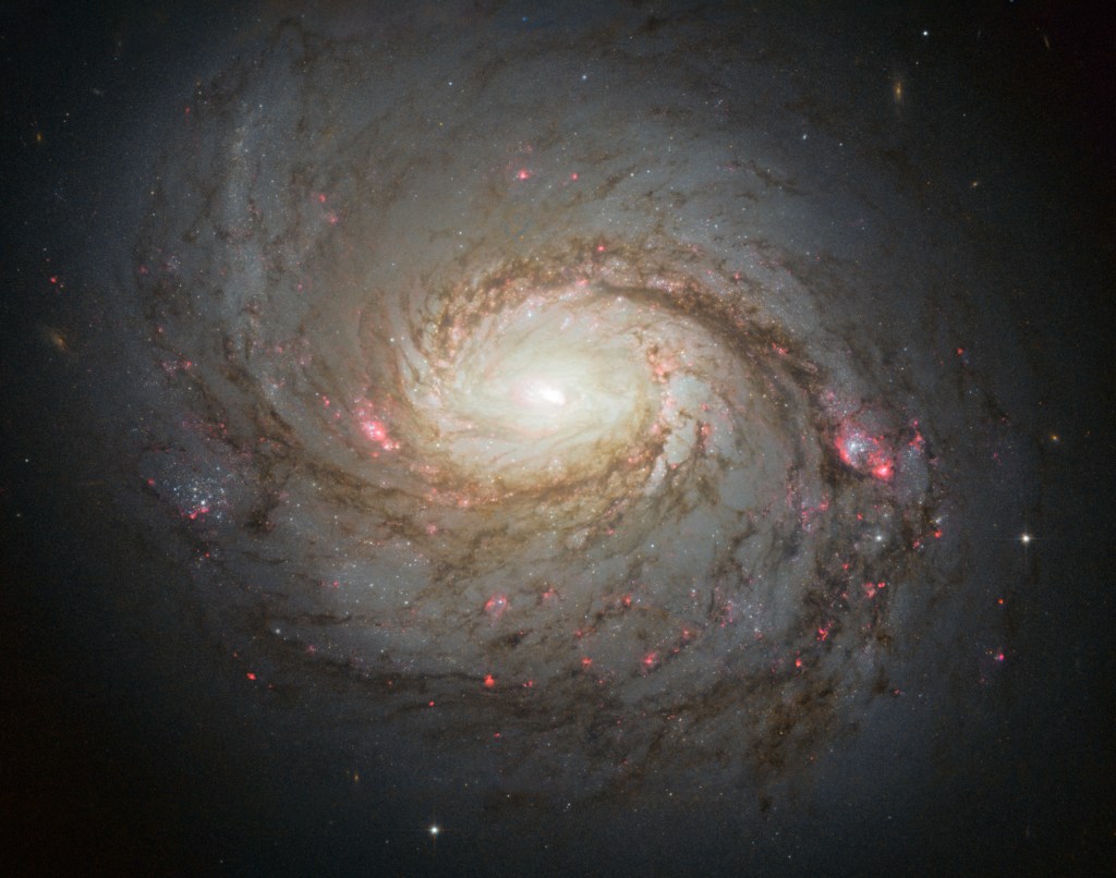 The spiral galaxy M77