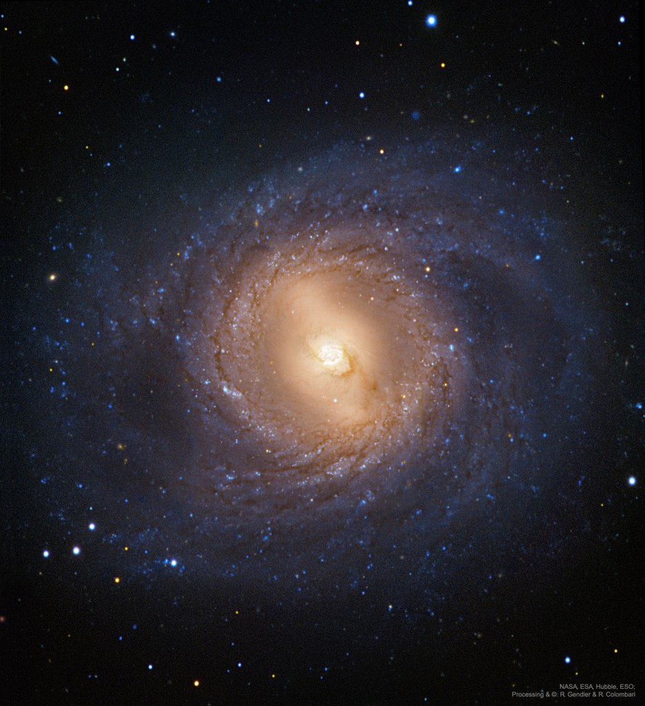 The spiral galaxy M95 observed by the Hubble Space Telescope and the European Southern Observatory.