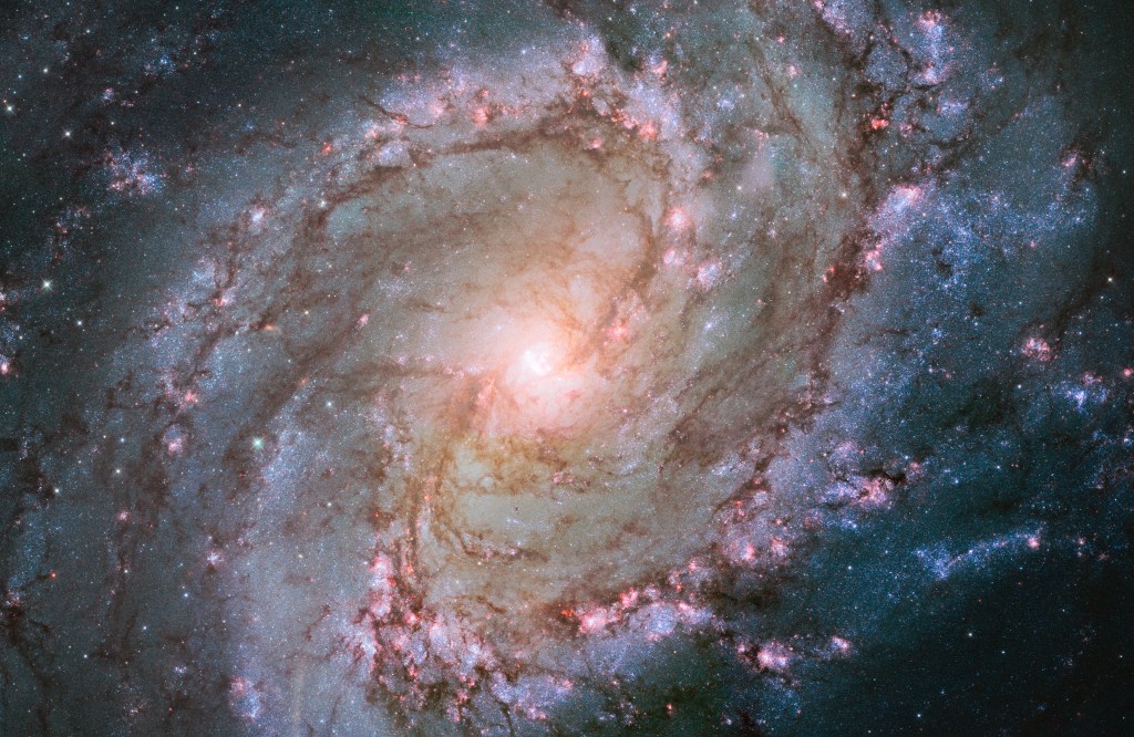 The spiral galaxy M83 observed by the Hubble Space Telescope.